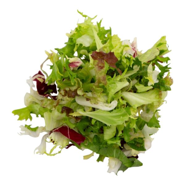 slamelange met dressing GN 1/4 500 gram